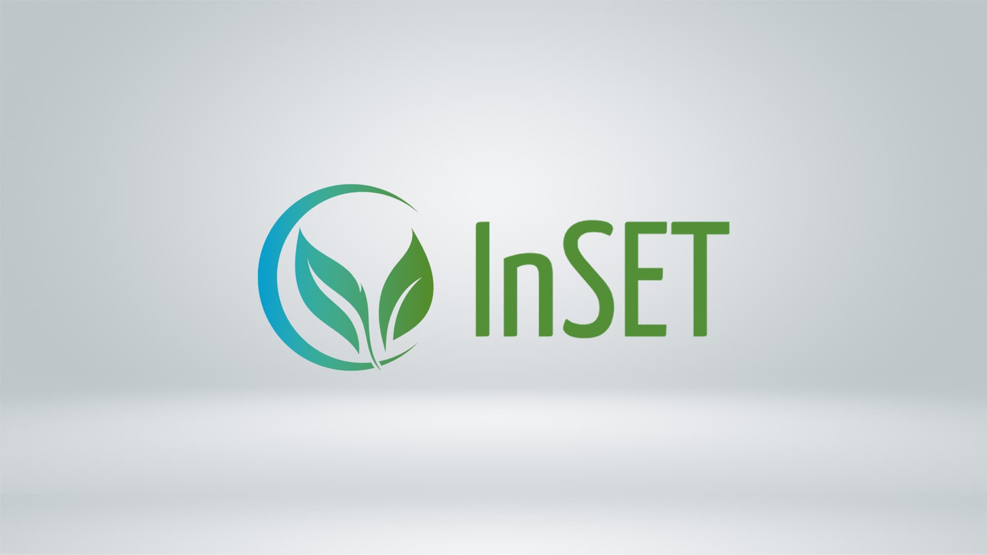 InSET Vision